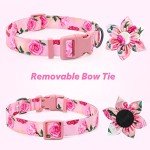 Personalized Pink Bow Tie Collar for Small Dogs