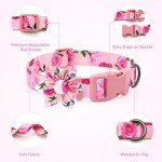 Personalized Pink Bow Tie Collar for Small Dogs