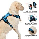 NESTROAD Blue No Pull Dog Harness & Lead Set