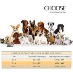 CFMOUR Heavy-Duty Retractable Dog Leash, 5m