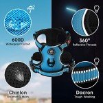 NESTROAD Blue No Pull Dog Harness & Lead Set