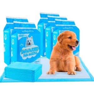 Edipets Disposable Dog Training Pads, 100 Count