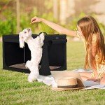 Petsfit Sturdy Dog Crate for Car Travel