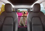 GXT Pink Dog Back Seat Cover with Leash