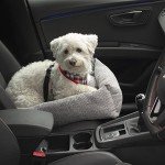 Bunty Dog Car Seat for Small to Medium Dogs