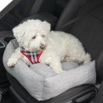 Bunty Dog Car Seat for Small to Medium Dogs