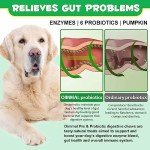 120 Dog Probiotic Chews for Gut Health