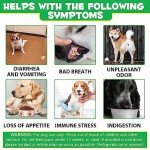 120 Dog Probiotic Chews for Gut Health