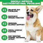 120 Dog Probiotic Chews for Gut Health