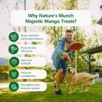 Nature's Munch Freeze-Dried Mango Dog Treats 40g
