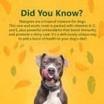 Nature's Munch Freeze-Dried Mango Dog Treats 40g