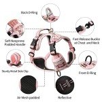 No Pull Medium Dog Harness - Floral Pink