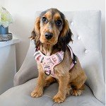 No Pull Medium Dog Harness - Floral Pink