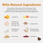 Zesty Paws Senior Dog Multivitamin 9-in-1