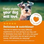 Zesty Paws Senior Dog Multivitamin 9-in-1