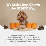 Zesty Paws Senior Dog Multivitamin 9-in-1