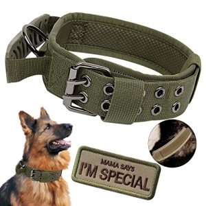 Tactical Adjustable Dog Collar with Handle - Green