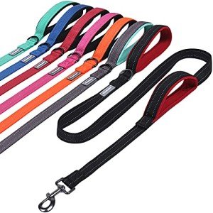 VIVAGLORY Reflective Padded Handle Dog Leash