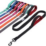 VIVAGLORY Reflective Padded Handle Dog Leash