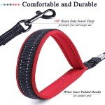 VIVAGLORY Reflective Padded Handle Dog Leash