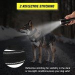 Tactical Adjustable Dog Collar with Handle - Green