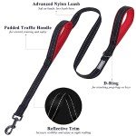 VIVAGLORY Reflective Padded Handle Dog Leash
