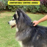 Tactical Adjustable Dog Collar with Handle - Green