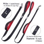 VIVAGLORY Reflective Padded Handle Dog Leash