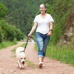 VIVAGLORY Reflective Padded Handle Dog Leash