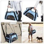 Airline Approved Soft-Sided Pet Carrier in Blue