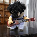 Halloween Dog Guitar Costume with Wig
