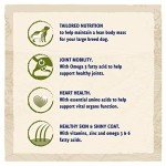 Purina Beta Adult Large Breed Dry Dog Food