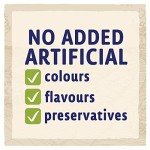 Purina Beta Adult Large Breed Dry Dog Food