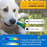 Tough Bacon-Flavored Chew Toys for Dogs 2-Pack