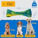 Tough Bacon-Flavored Chew Toys for Dogs 2-Pack