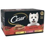 Cesar Classic Terrine Wet Dog Food - 24 Trays