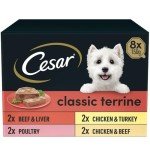 Cesar Classic Terrine Wet Dog Food - 24 Trays