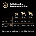 Cesar Classic Terrine Wet Dog Food - 24 Trays