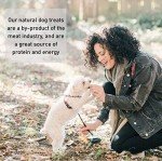 Natural Rawhide Chews: Tripe Filled Bones (5 Pack)