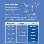 Paws Aboard Dog Life Jacket – Safe Swimming Vest