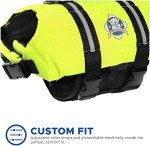 Paws Aboard Dog Life Jacket – Safe Swimming Vest