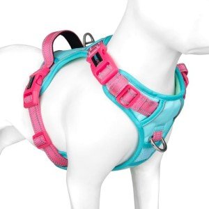 Adjustable No-Pull Dog Harness with Reflective Colors