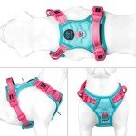 Adjustable No-Pull Dog Harness with Reflective Colors