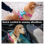 Adjustable No-Pull Dog Harness with Reflective Colors