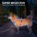 Adjustable No-Pull Dog Harness with Reflective Colors
