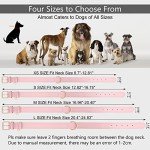 Adjustable Pink Leather Dog Collar with Alloy Buckle