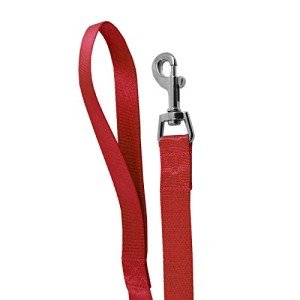 Durable Red Nylon Dog Leash by AKORD