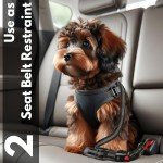 Dog Seat Belt for Safe Car Travel