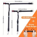 Dog Seat Belt for Safe Car Travel