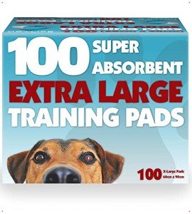 Extra Large Super Absorbent Dog Training Pads